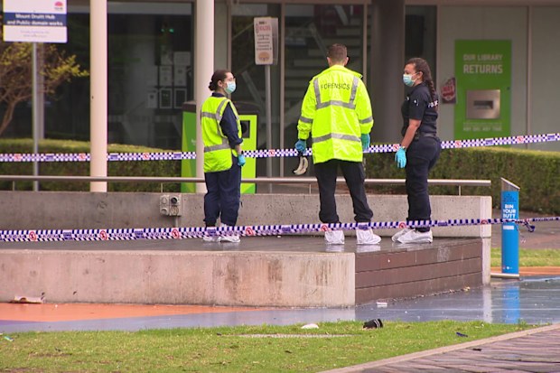 Emergency services were called to Cleeve Close in Mt Druitt after reports of the alleged stabbing.