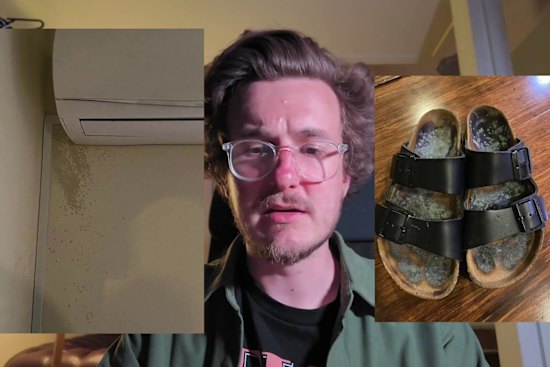 Mould infestation photos published by rental advocate and Victorian Socialists candidate Jordan van den Lamb.