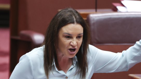 Jacqui Lambie in the Senate in November.