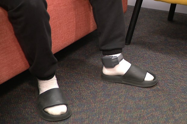 Harry has been wearing this electronic monitoring device for seven months.
