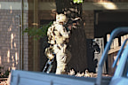 Heavily armed officers have surrounded the south-west Sydney apartment block.