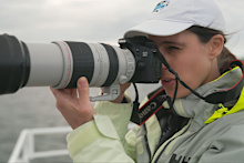 Dr Vanessa Pirotta says she has the best job in the world, but often has to fund her own research.