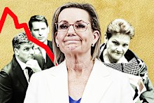 Opposition Leader Sussan Ley is under siege from critics within and outside her party.