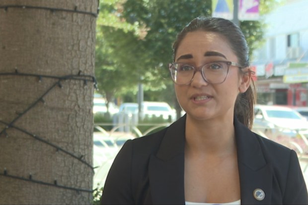 A struggling NSW town is devastated that its Christmas tree was destroyed by arsonists less than a fortnight away from the holiday.  