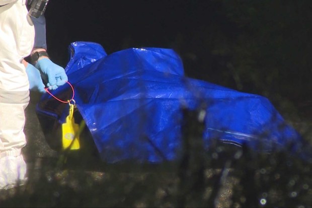 Police said a ‘life-like’ doll stuffed in suitcase in rural NSW had nose piercing, ‘bruises and grazes’