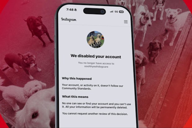 Meta deactivated their Instagram account without any explanation.
