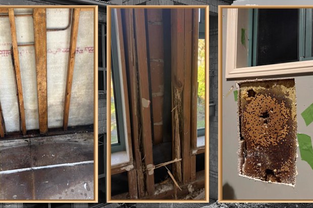 They thought they’d bought their perfect home. It took one night for the dream to start crumbling
