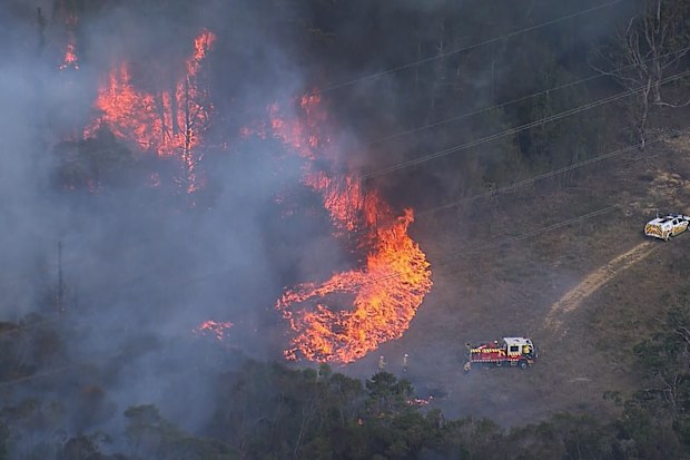 A bushfire started to burn at Calga on the NSW central coast on Saturday afternoon.
