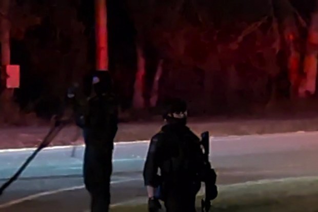 Police were called to the gathering on Ney Road and Wildflower Street in Capalaba at 10.15pm on Saturday.