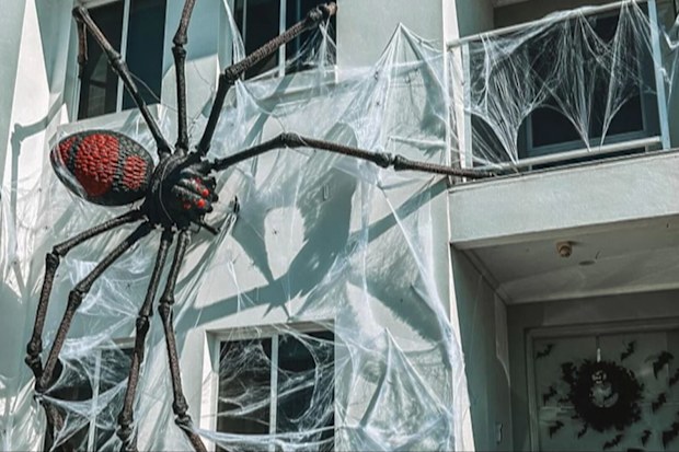 For six nights each October, Naylor-Liddell opens it up to the public free of charge just to share the love of the spooky season. 
