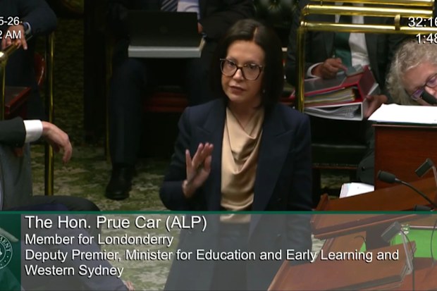 Car’s treatment required her to step away from her high-profile job as NSW deputy premier for seven months.