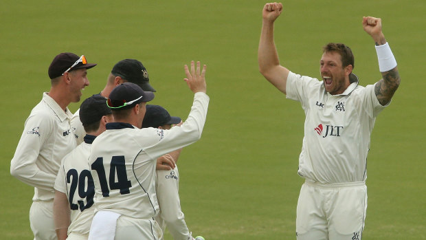 Victorian teammates rush to celebrate with James Pattinson after his dismissal of Peter Nevill.