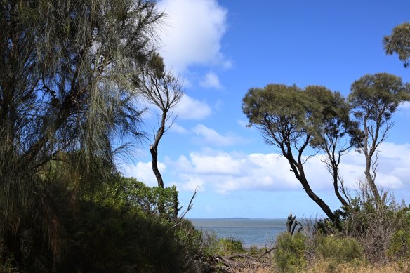 The Corinella foreshore and bay overlooking Western Port and French Island.