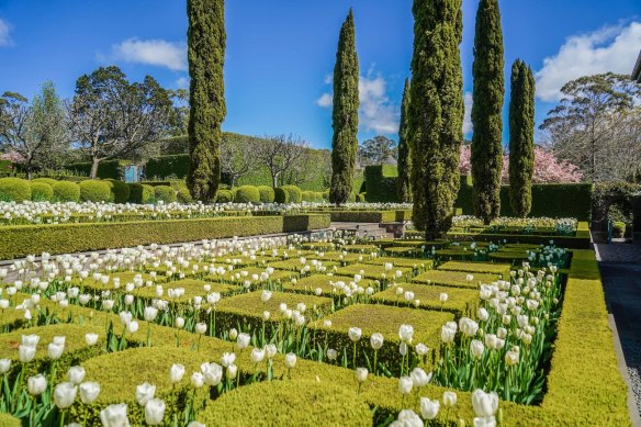 Bangay created his stunning garden from a paddock. 