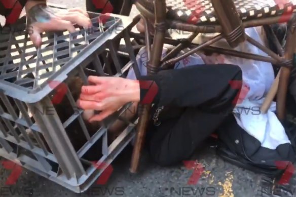 Screenshot from 7 News showing the citizen's arrest of man who allegedly tried to stab people in Sydney.