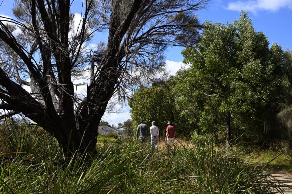 The Corinella foreshore is a popular place for walkers.