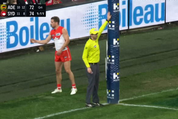 The goal umpiring blunder arguably cost the Crows a finals spot.