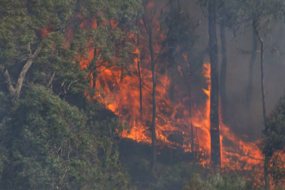 The blaze in the Otways near Gellibrand in south-west Victoria on Saturday.