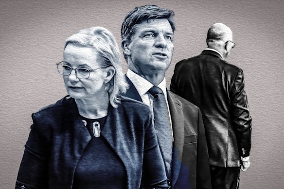 Sussan Ley and Angus Taylor are potential replacements for Peter Dutton.