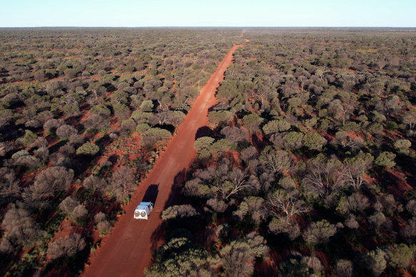 Native vegetation has recovered significantly since cattle left the area.