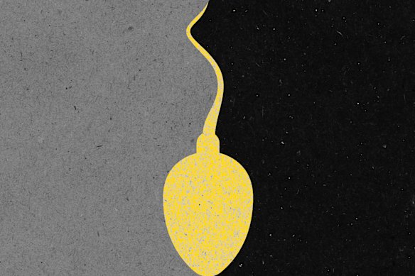 Academics, fertility experts and the mothers of donor-conceived children are urging governments to create a register for online sperm donation.