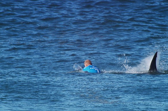 Mick Fanning during his encounter with a shark at the J-Bay Open in 2015.