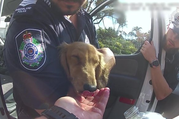 Police returned Duppy safely to his owner. 