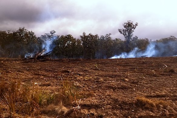 Land-clearing in Yarrowitch in the NSW Northern Tablelands in 2023. There is no allegation the clearing was illegal.