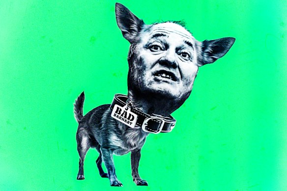 Want to teach an old dog new tricks? Don't follow in Barnaby Joyce's footsteps.