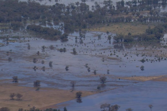 An aerial view over Ootha, just east of Condobolin, on Thursday afternoon.