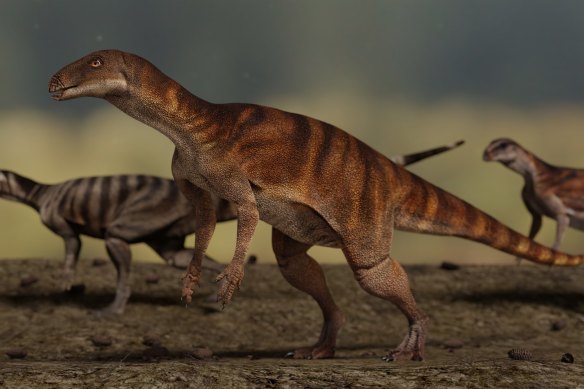 Anomoepus scambus had a short neck, a chunky body and a small head with a beak.