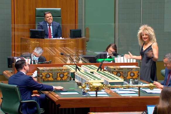 Deputy opposition leader Sussan Ley dressed as Tina Turner in Parliament in March. 
