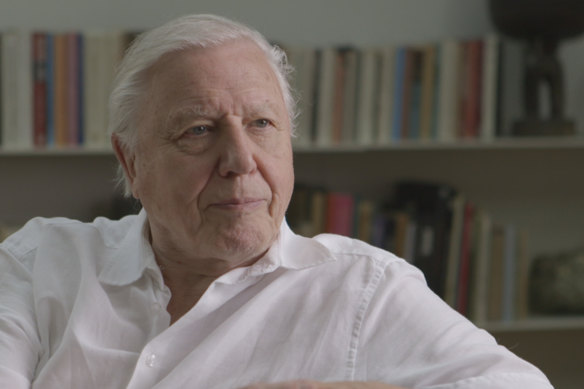 Sir David Attenborough in the Dream of Perfection.