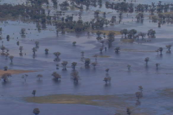 An aerial shot near Ootha in the state’s Central West taken on Thursday afternoon. 