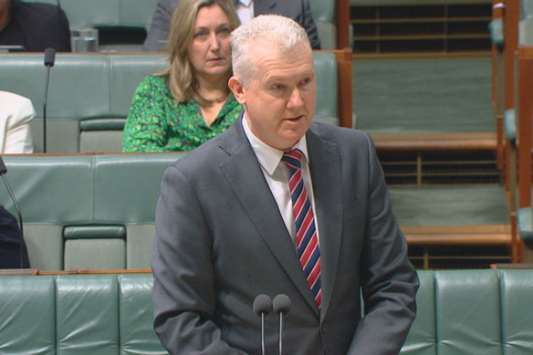 Leader of the House Tony Burke speaking in parliament.