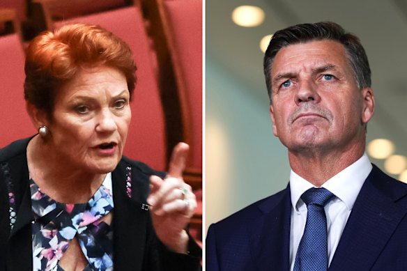 Angus Taylor and Pauline Hanson. 