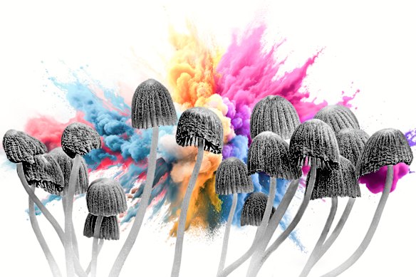 Psilocybin is a psychoactive component in magic mushrooms.