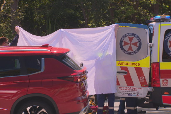 A 66-year-old woman is in a critical condition after being hit by a truck in Lilyfield in Sydney’s inner west on Monday morning.