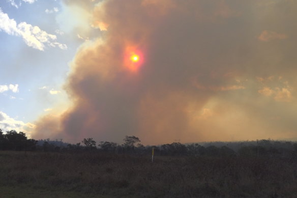 Winds in the south-east corner are intensifying bushfires near Warwick and at Beerwah on Sunday afternoon.