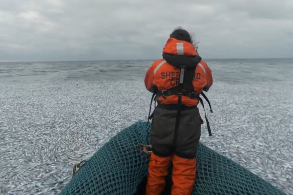 Sea Shepherd estimated the super-trawler left as many as 100,000 dead fish.