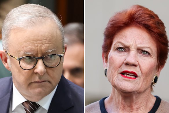 Anthony Albanese and Pauline Hanson.