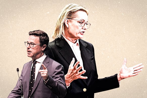 Nationals leader David Littleproud and Liberal leader Sussan Ley.