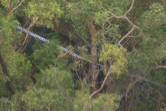 Police have taped off the search area in the Royal National Park.