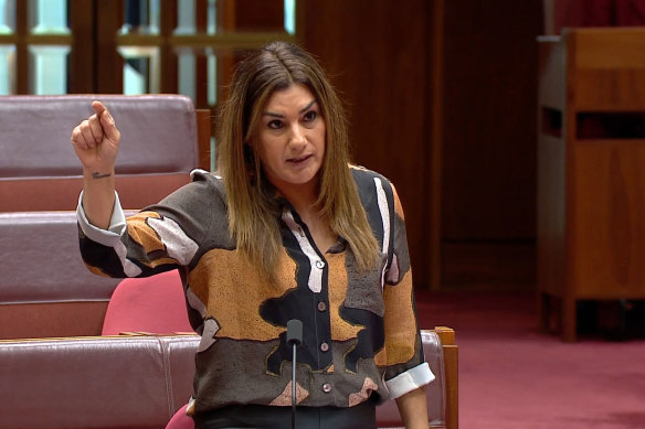 Lidia Thorpe first made sexual assault and harassment allegations in a speech to the Senate in June 2023. 