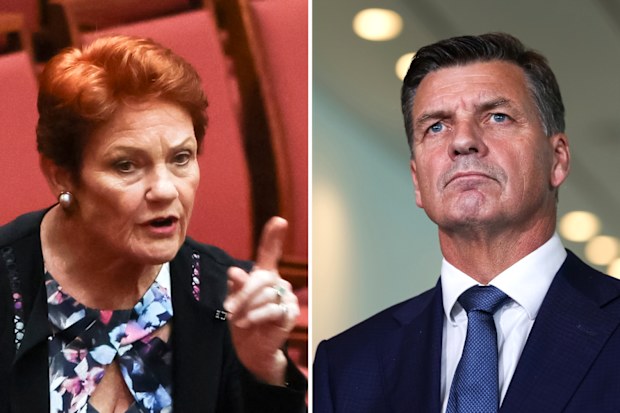 One Nation's success could hinge on Coalition voters' preferences and  potential deal with Angus Taylor