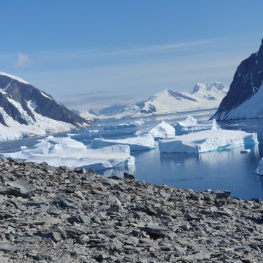 Danco Island 12 months after the author's last visit. The scene shows there is barely any snow cover at the same height, and rivulets of snowmelt rush over bare rock to the shore.
