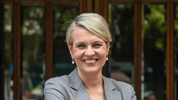 Tanya Plibersek didn’t take up the offer of free childminding if she ran for leader of the Opposition.