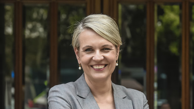 Tanya Plibersek didn’t take up the offer of free childminding if she ran for leader of the Opposition.