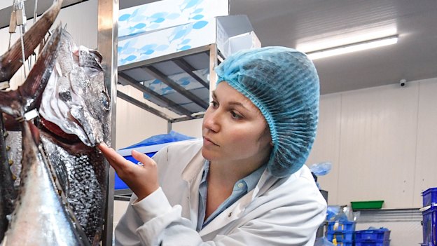 Stephanie Kaparos CEO of  Clamms Seafood. 