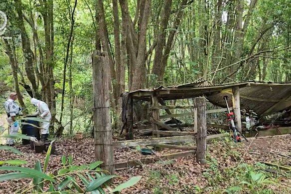 Whear’s body was found in an unused stock dip.